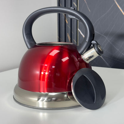 5L Stainless Steel Tea Kettle – Fixed Handle & Colorful Body